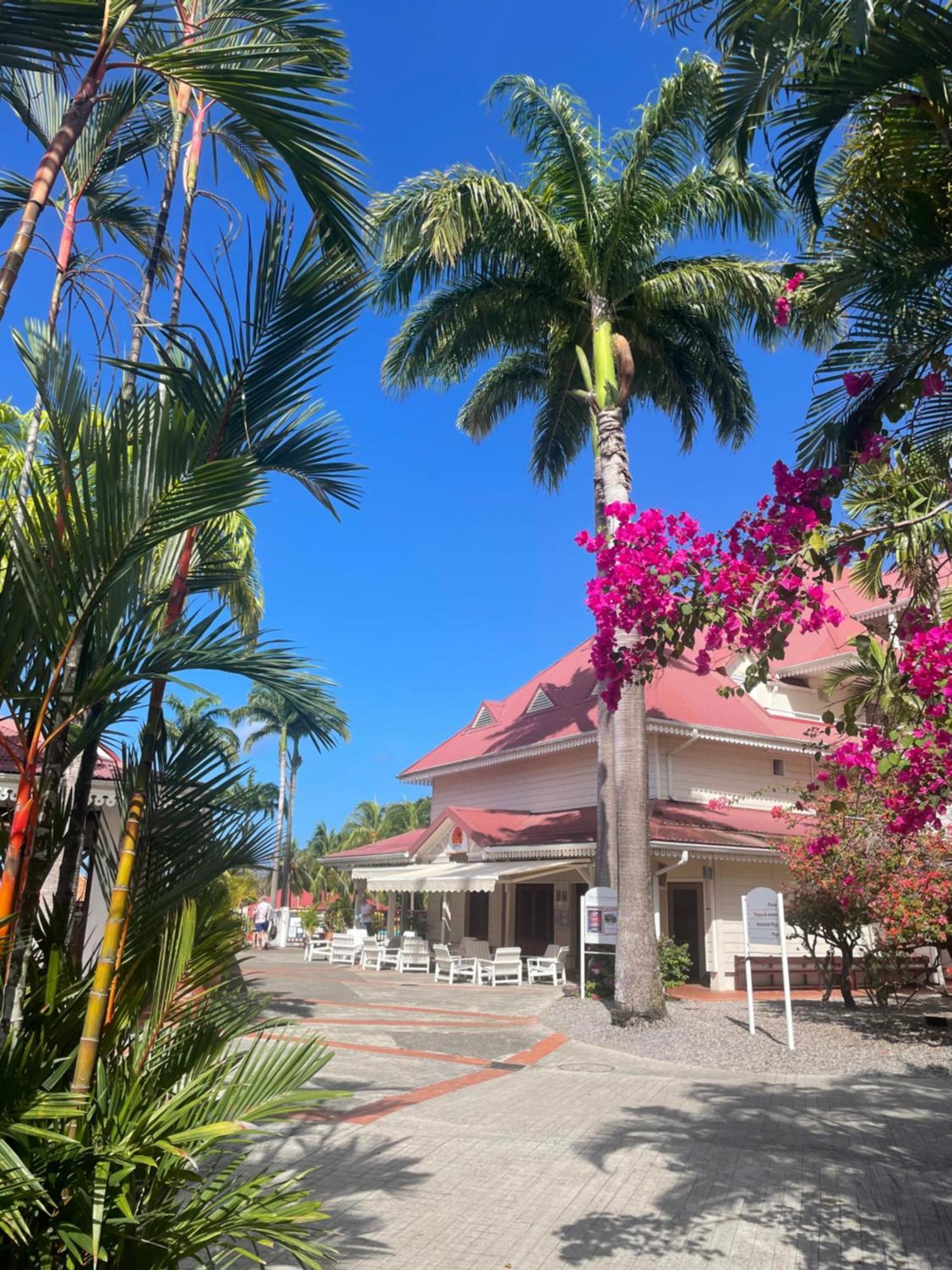 Couleur Caraibes-Cocobeach Martinique Pierre Et Vacances Sainte-Luce Exteriör bild