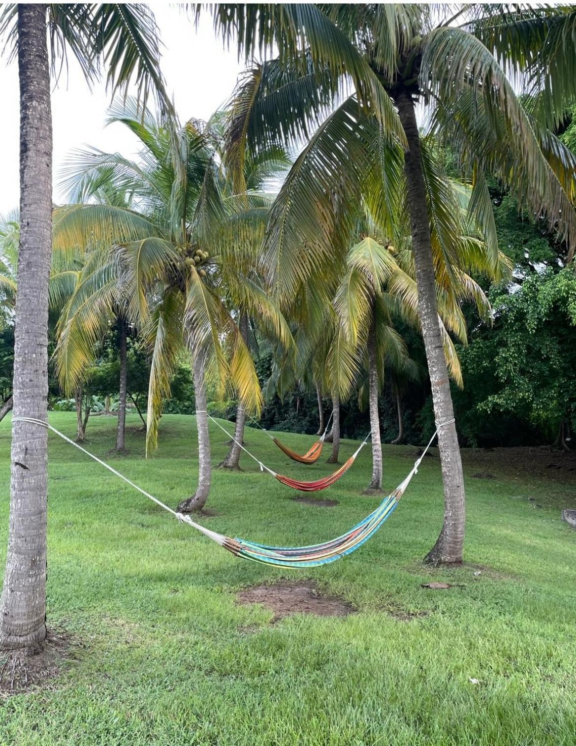 Couleur Caraibes-Cocobeach Martinique Pierre Et Vacances Sainte-Luce Exteriör bild