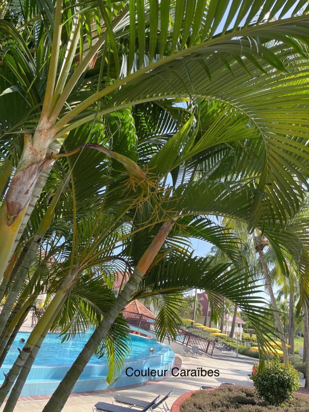 Couleur Caraibes-Cocobeach Martinique Pierre Et Vacances Sainte-Luce Exteriör bild