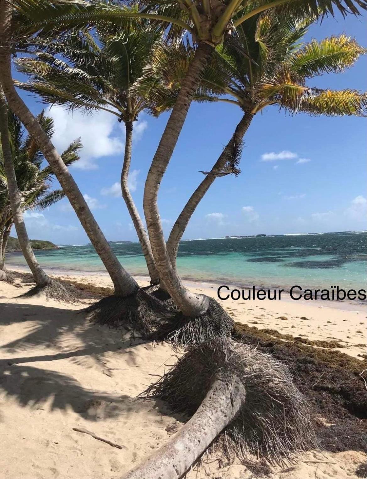 Couleur Caraibes-Cocobeach Martinique Pierre Et Vacances Sainte-Luce Exteriör bild